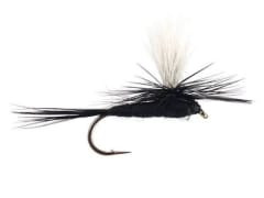 ADAMS BLACK PARACHUTE