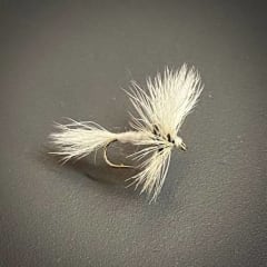 ADAMS WHITE