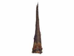 RING PHEAS COMPLETE TAIL CLUMP
