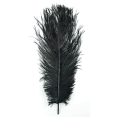 OSTRICH PLUME NATURES SPIRIT