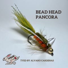 BEAD HEAD PANCORA BY ALVARO CARDENAS