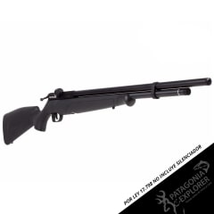 RIFLE PCP BENJAMIN FORTITUDE G2