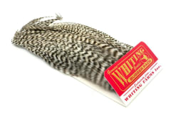 WHITING BUGGER