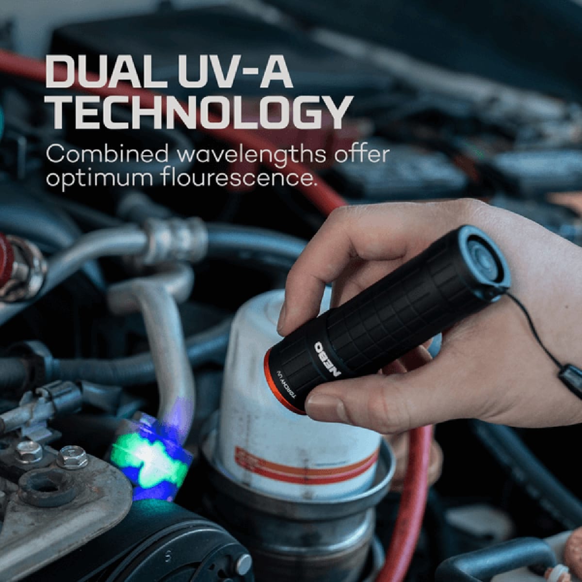 LINTERNO NEBO TORCHY UV10