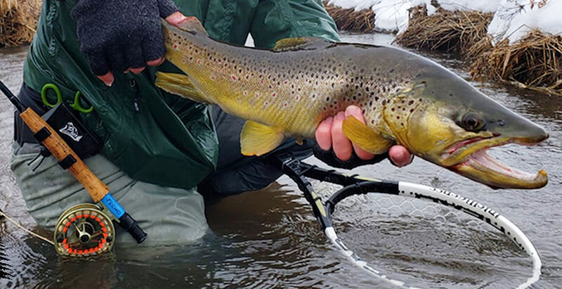 BELT CLIP ROD HOLDER2