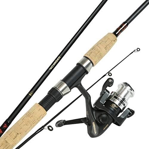 KIT CAÑA + CARRETE DAIWA2
