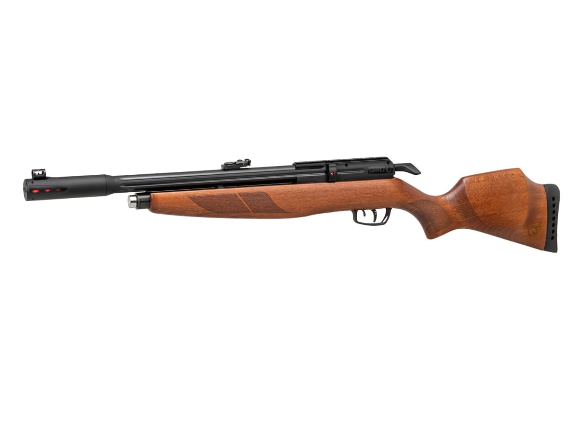 RIFLE GAMO PCP MADERA RISER 5,5MM1