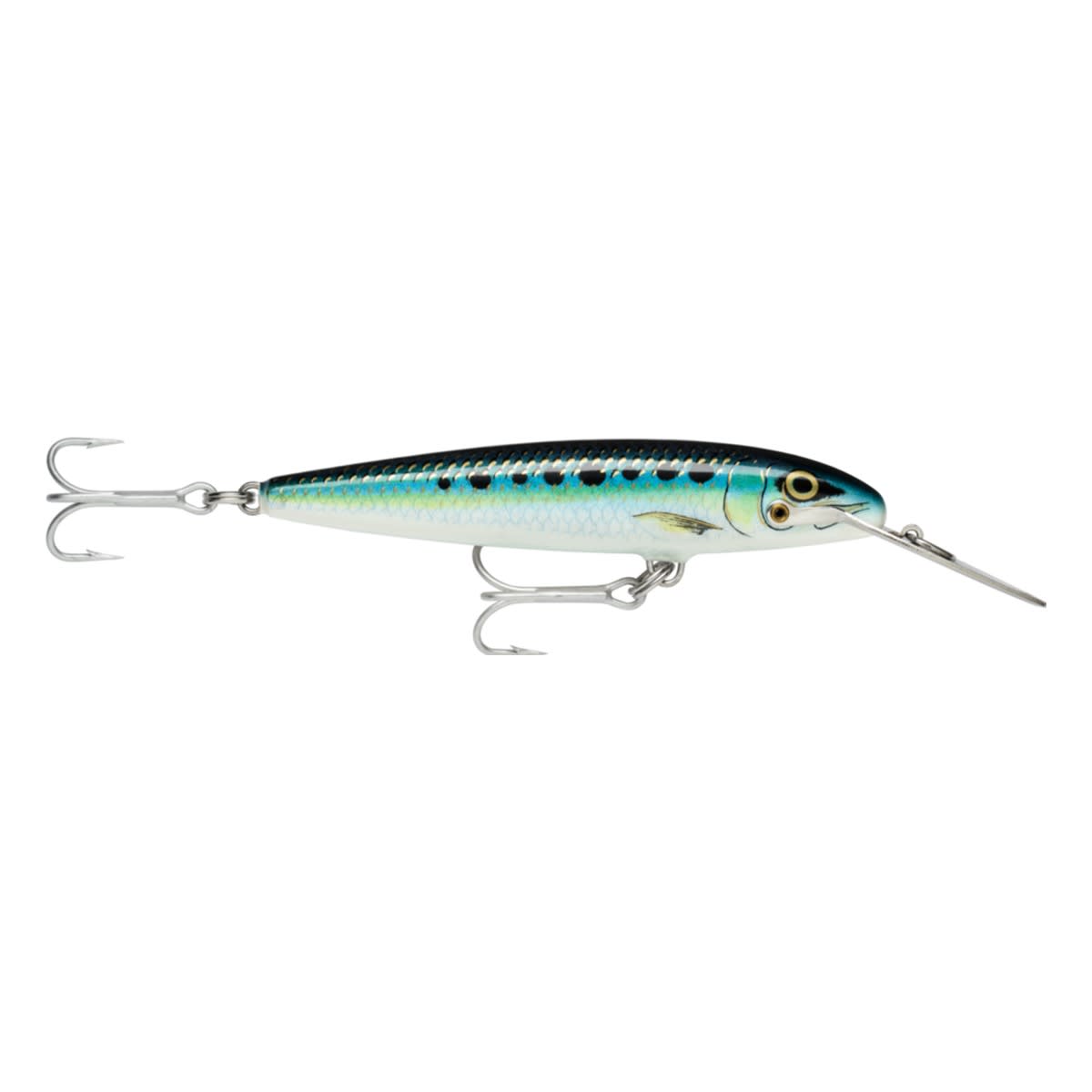 SEÑUELO RAPALA COUNTDOWN MAGNUM CDMAG11 24G SARDINE1