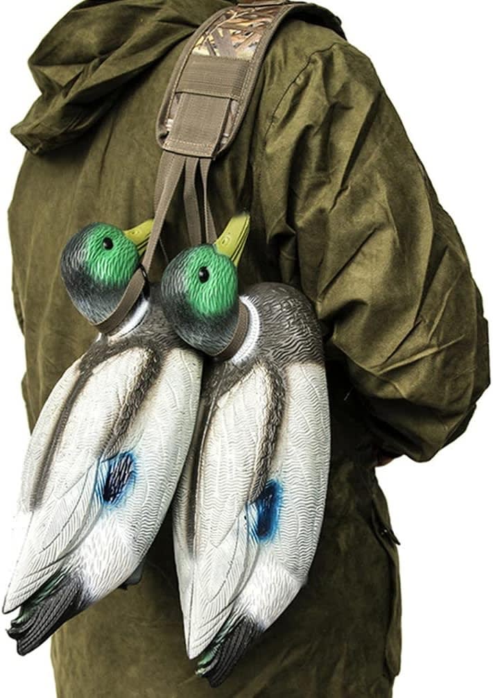 CORREA COLGADOR DE AVES2