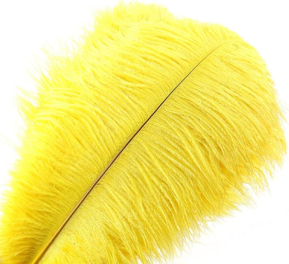 OSTRICH PLUME NATURES SPIRIT8