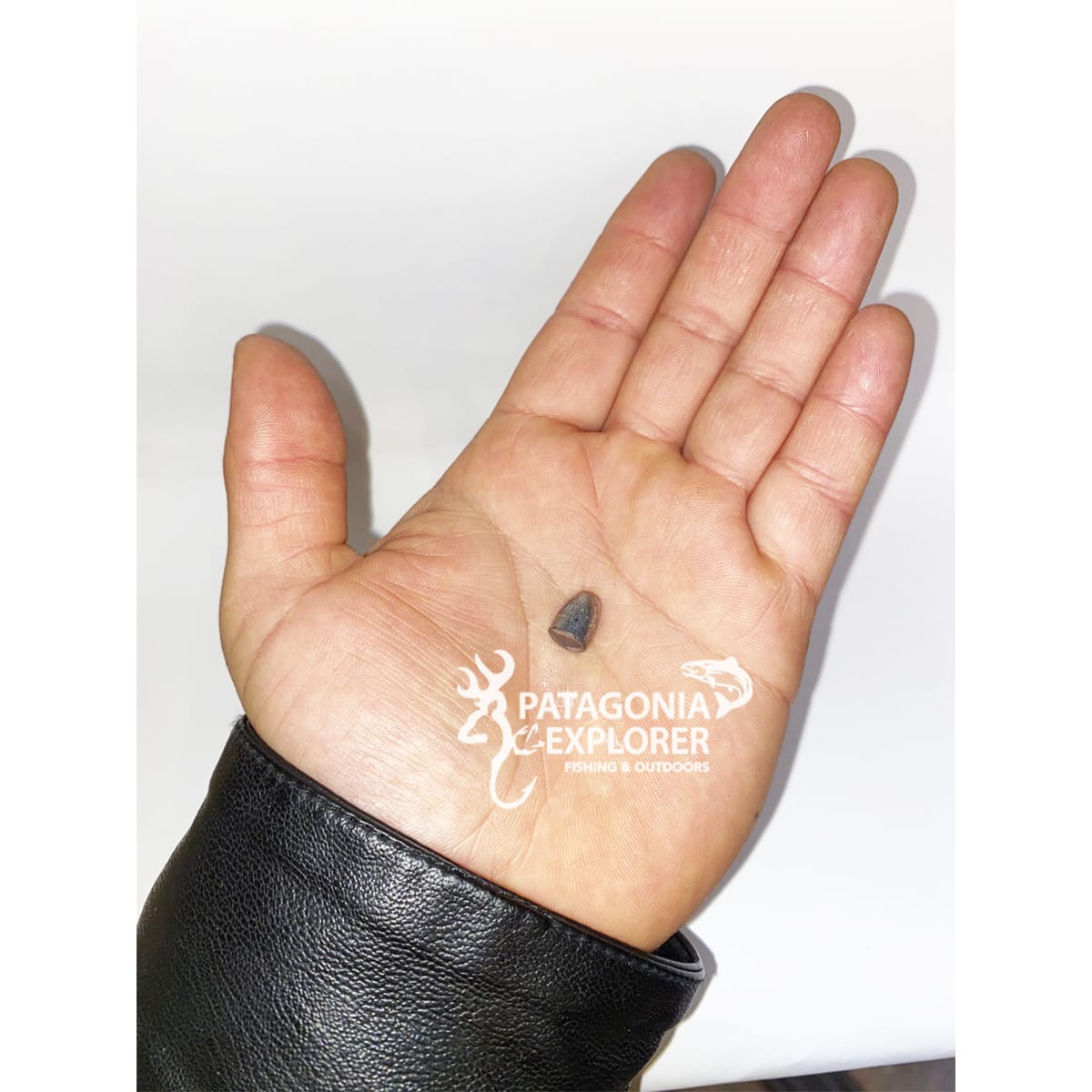 OJIVAS CAL.45 203gn CN2