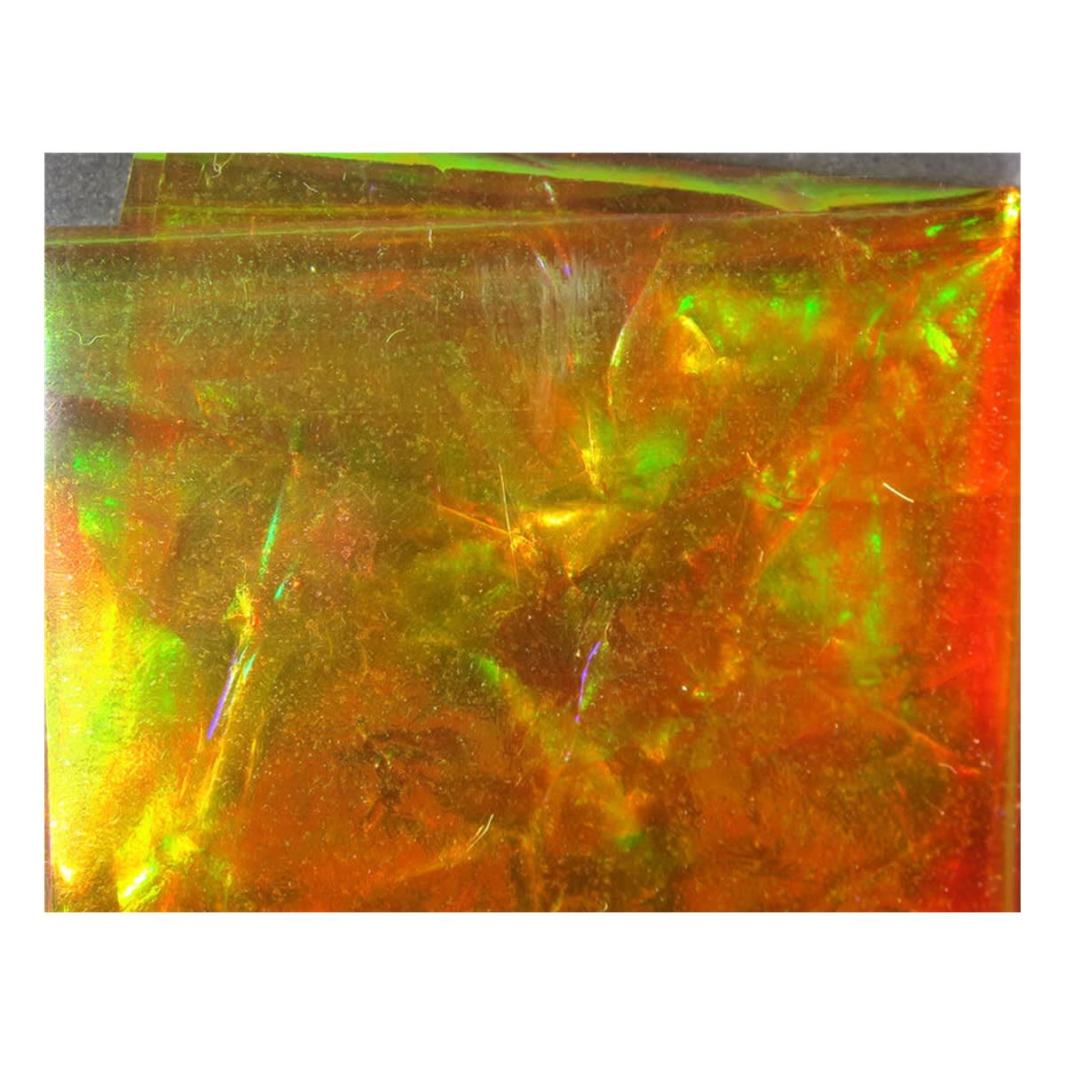 HARELINE FLASHBACK ORANGE1