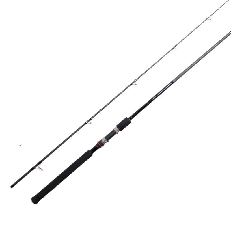 CAÑA BADFISH SHORE MASTER1