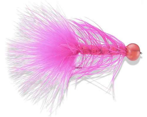 MOSCAS BREWER HOT HEAD 	LEECH FUSHIA #021