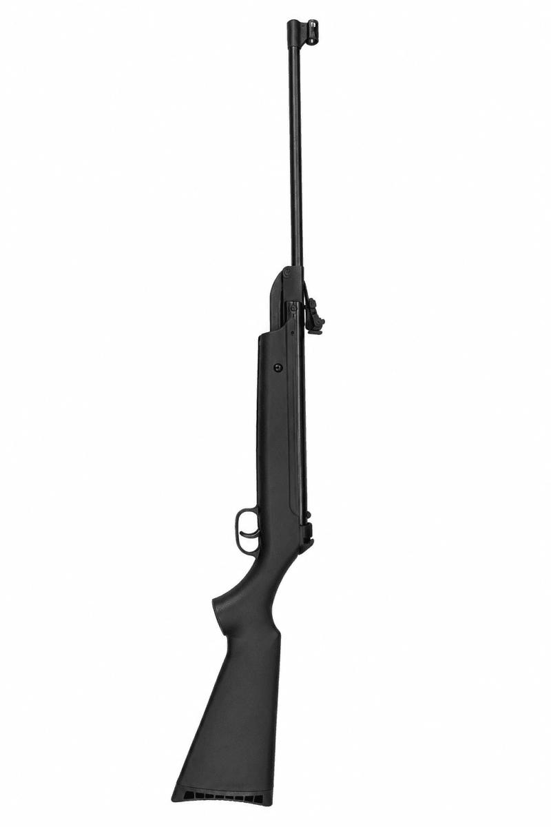 RIFLE A.C RESORTE SAG QB12/ 5.5MM1
