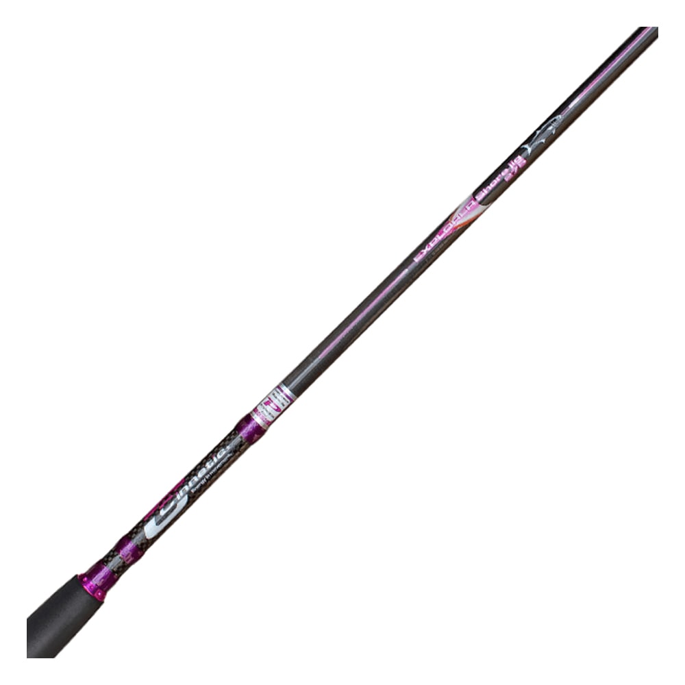 CAÑA EXPLORER SHORE JIG EVOLUTION2