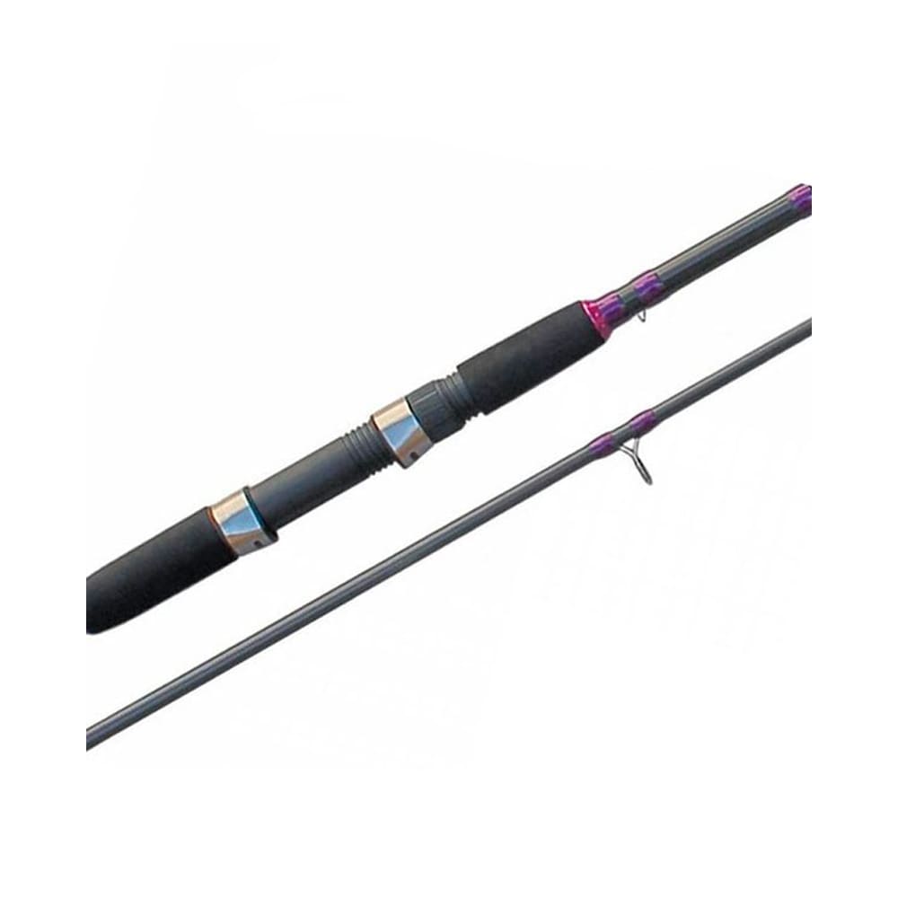 CAÑA EXPLORER SEA BASS EVOLUTION2