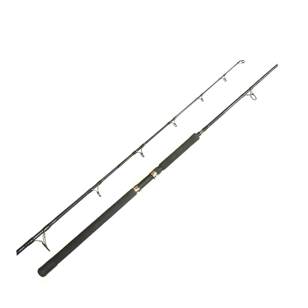 CAÑA RAPALA GOLD SPECIAL JIGGING1