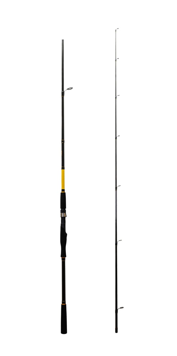 CAÑA SHIMANO FX XT SEA BASS 300CM 30-60GR2