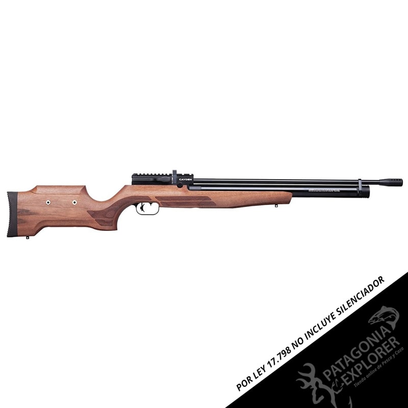 RIFLE PCP BENJAMIN CAYDEN1