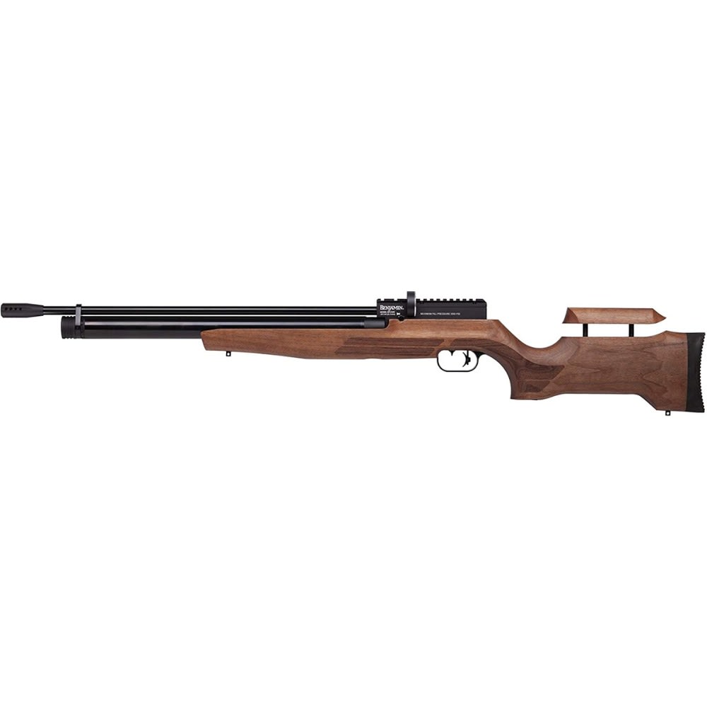 RIFLE PCP BENJAMIN CAYDEN2