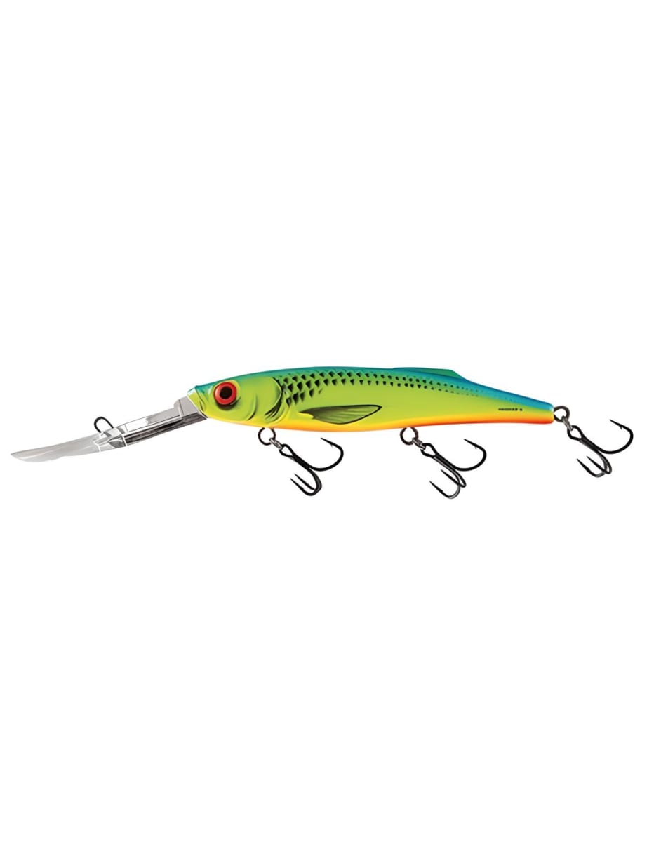 SEÑUELO MINNOW SALMO FREEDIVER FLOATING 12CM1