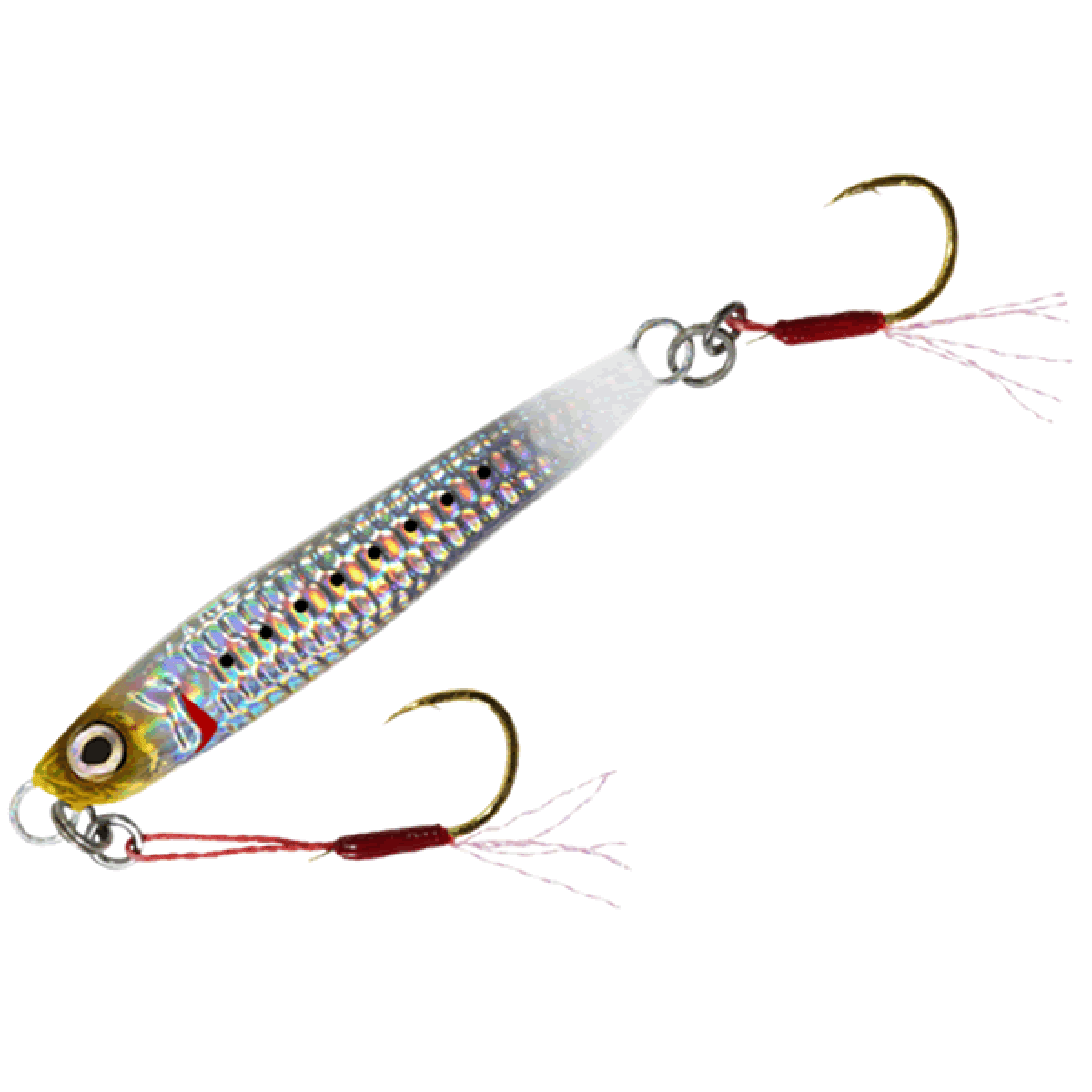 JIG MAGBITE IWASHI5