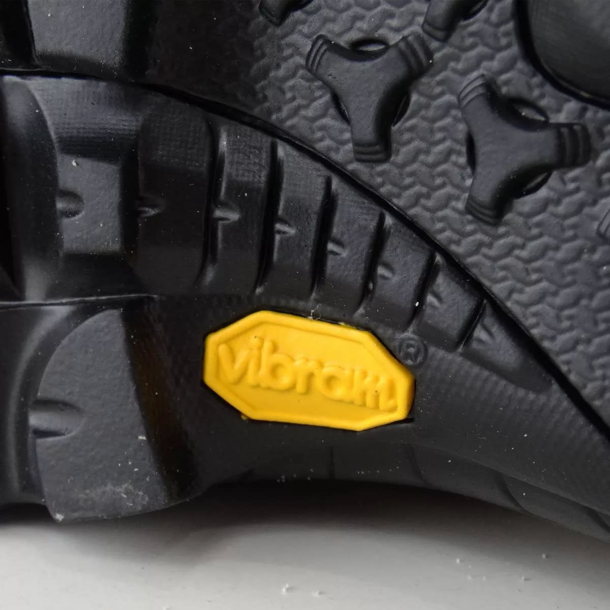 BOTIN CACERIA QUAIL 8