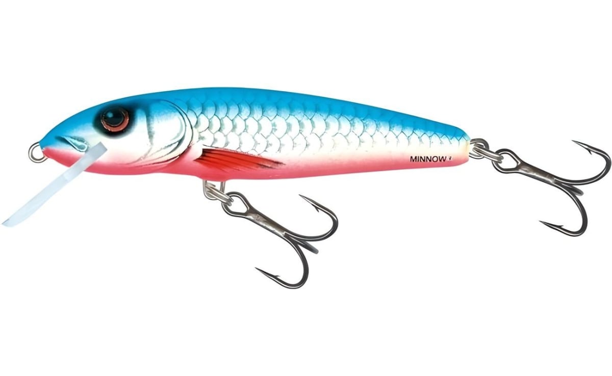 SEÑUELO SALMO MINNOW FLOATING 6CM1