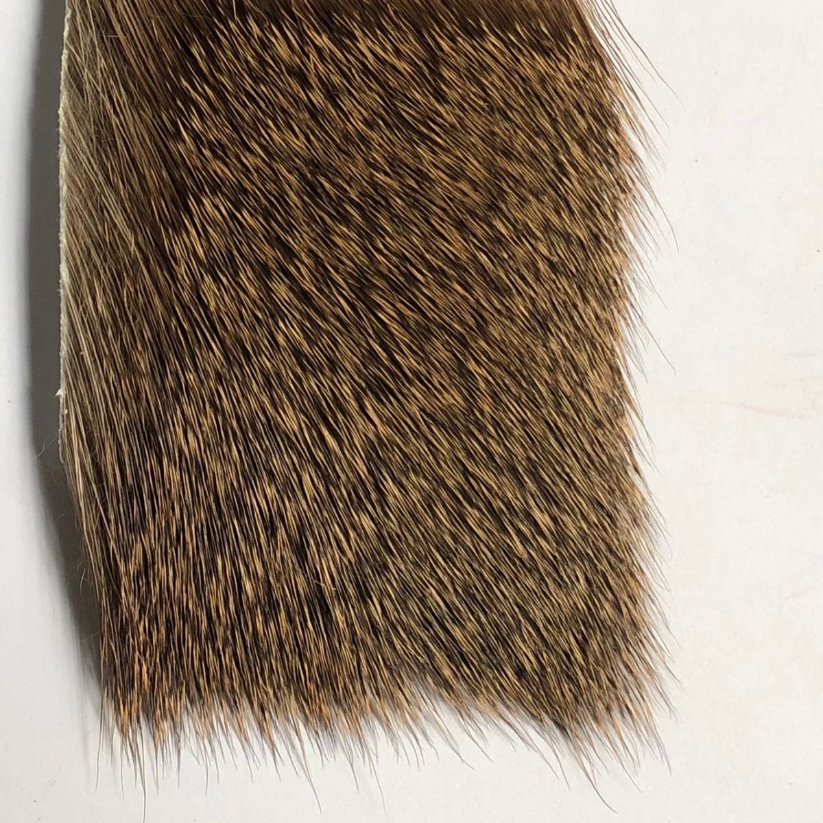 COASTAL DEER HAIR1