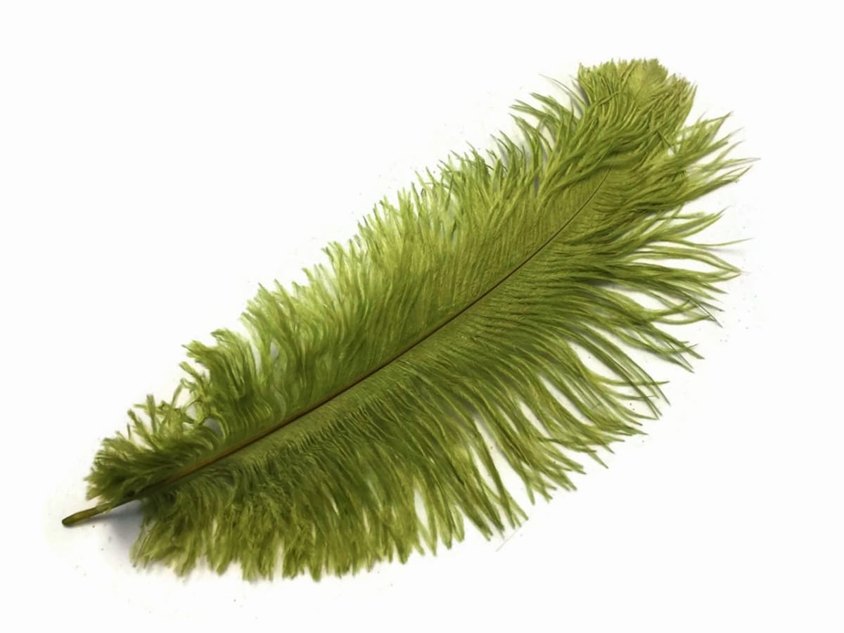 OSTRICH PLUMES2