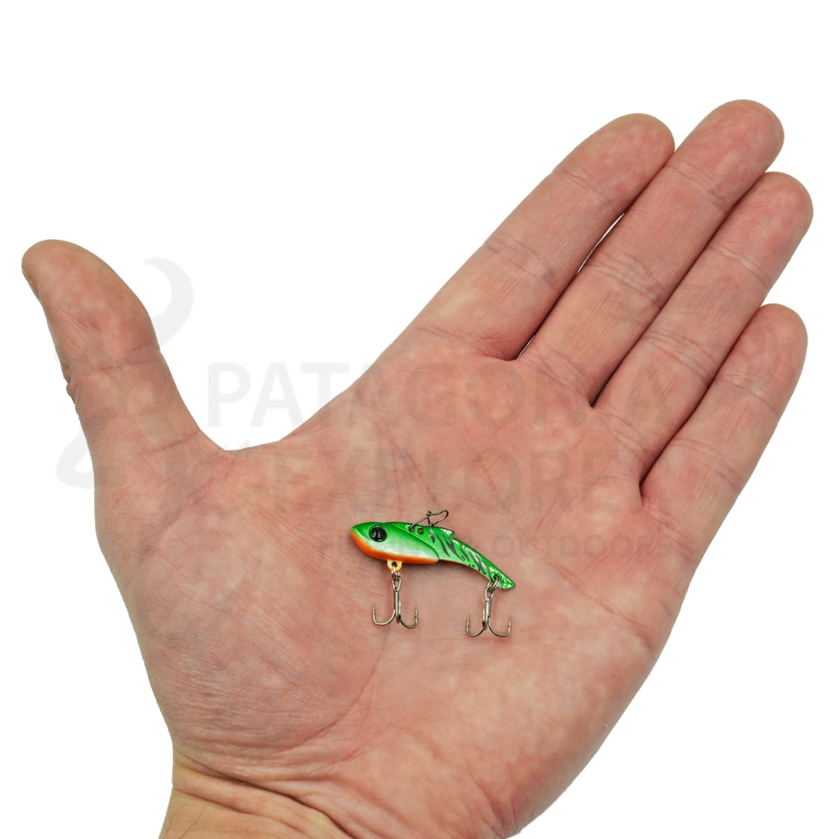 CABALLITO TSURINOYA PIED FALCONET2