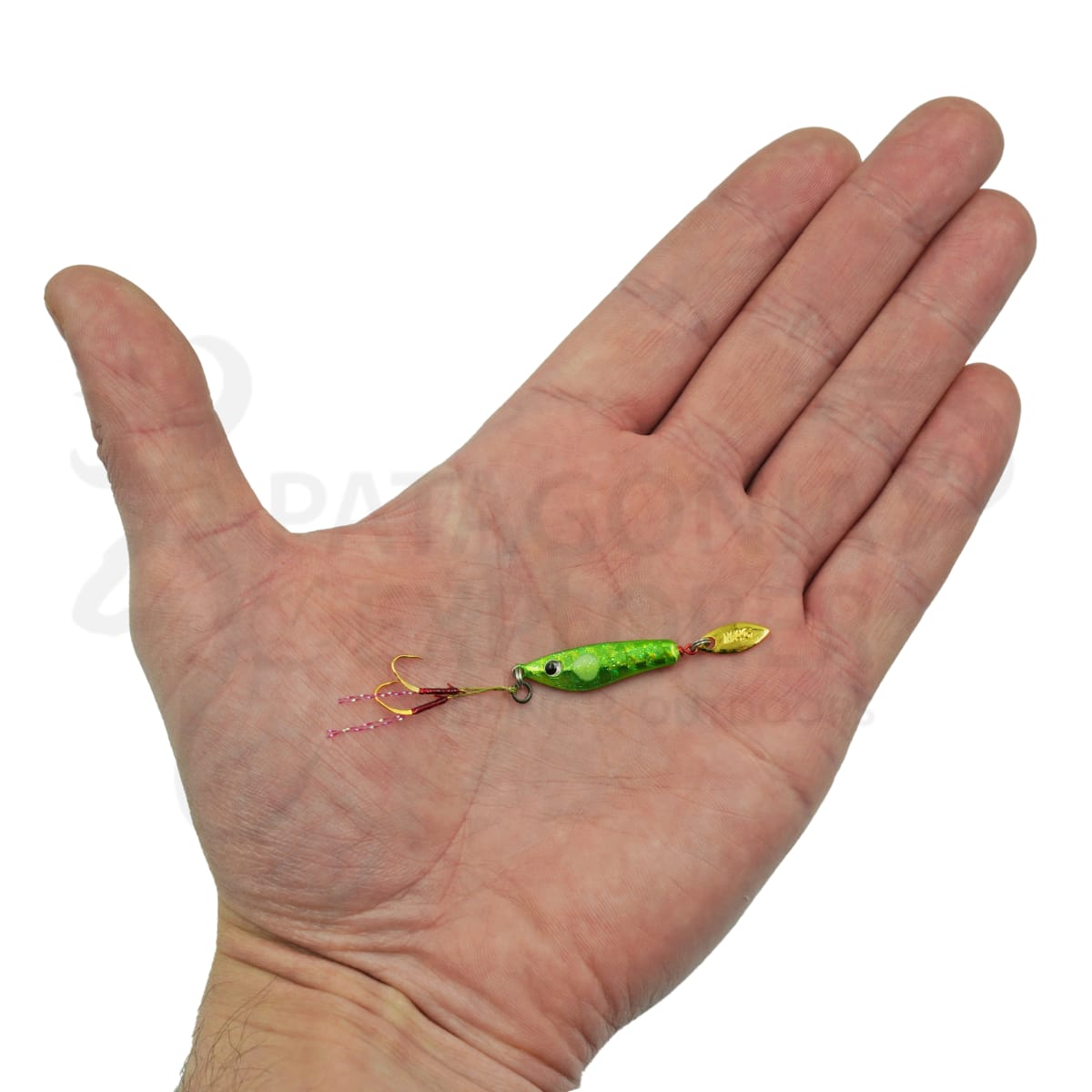 JIG MAGBITE CHIRIMEN 3G6