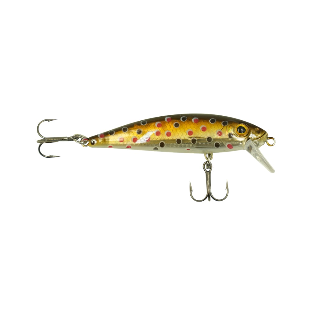 SEÑUELO SAITAMA MAXXIMA 7 cm 10 G10