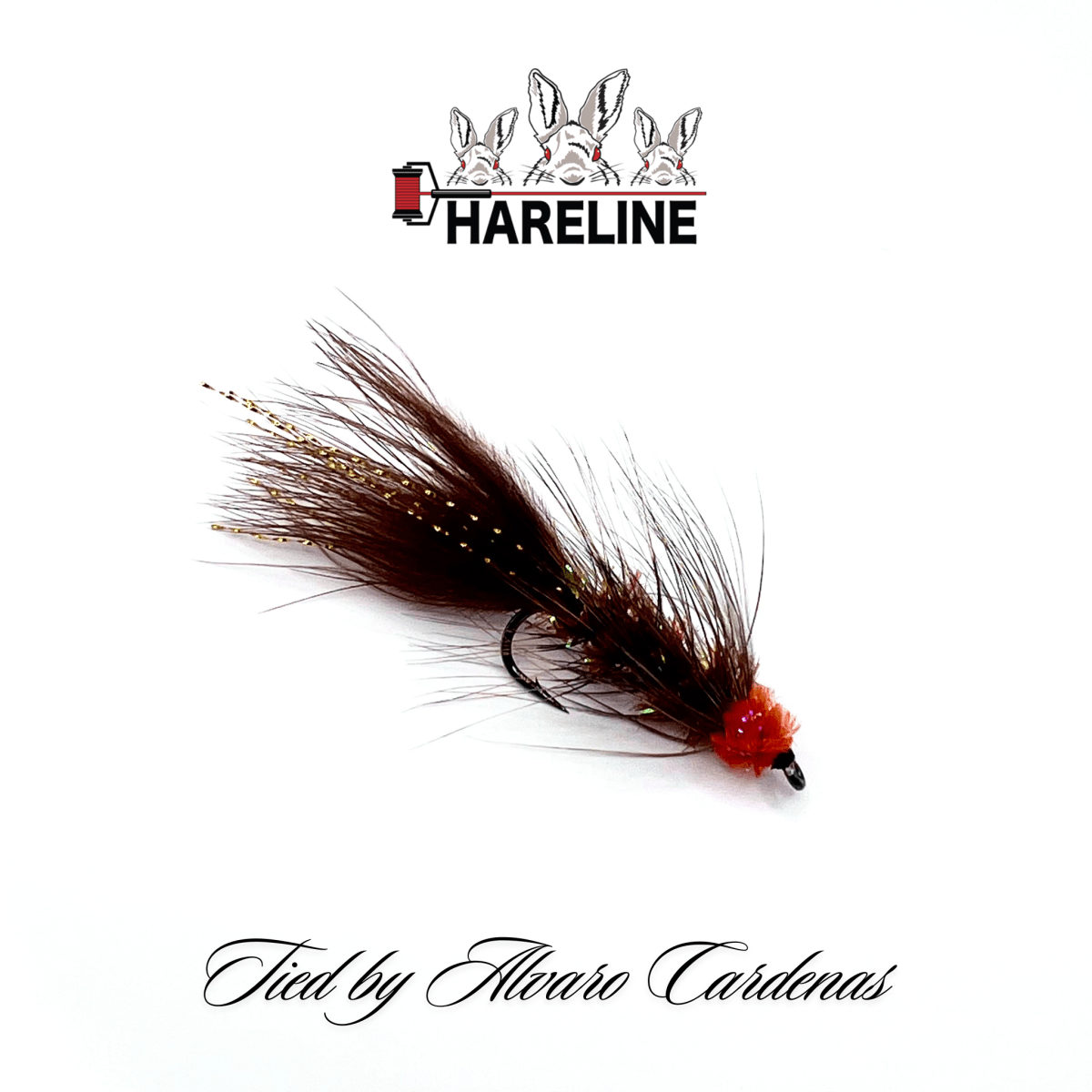 MOSCA EGG SUCKING LEECH BROWN BY ALVARO CARDENAS1