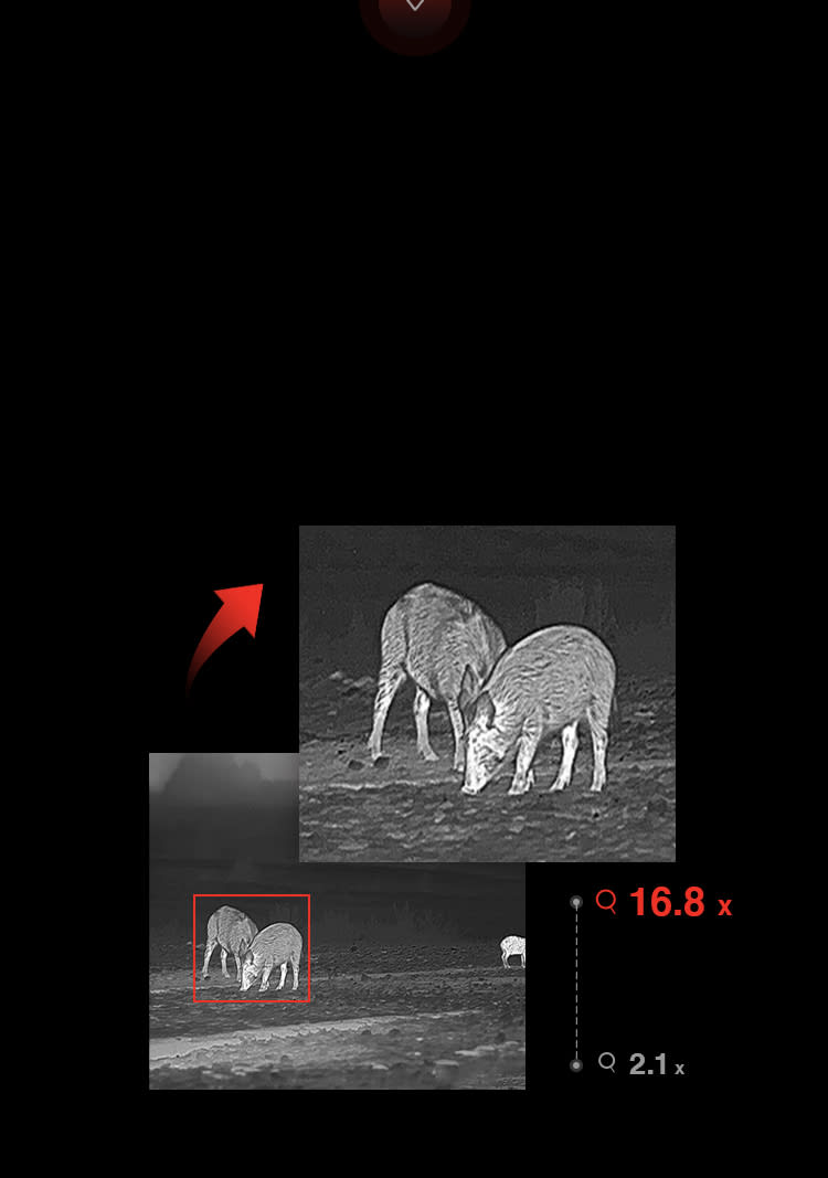 VISOR TERMICO HIKMICRO FALCON FQ356