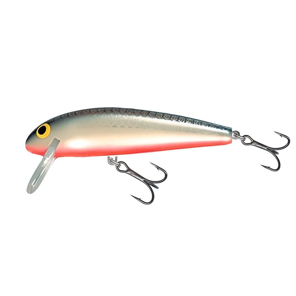 SEÑUELO SALMO MINNOW FLOATING 6CM2