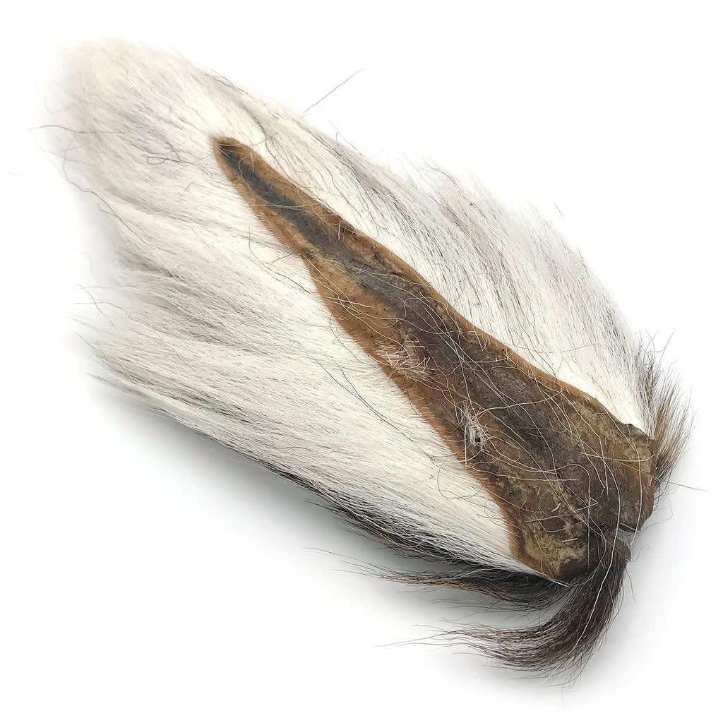 LARGE NORTHERN BUCKTAIL2