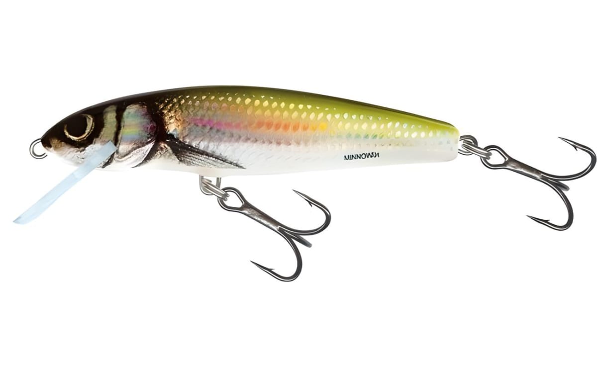 SEÑUELO SALMO MINNOW SINKING 6CM3