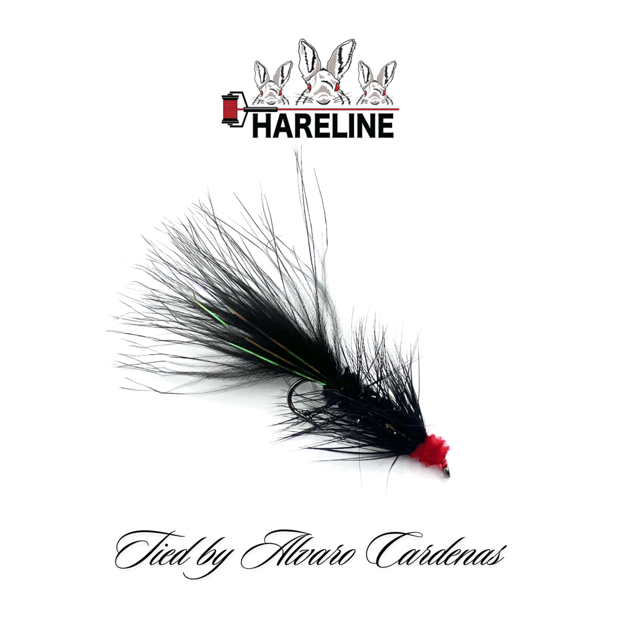 MOSCA EGG SUCKING LEECH BY ALVARO CARDENAS1