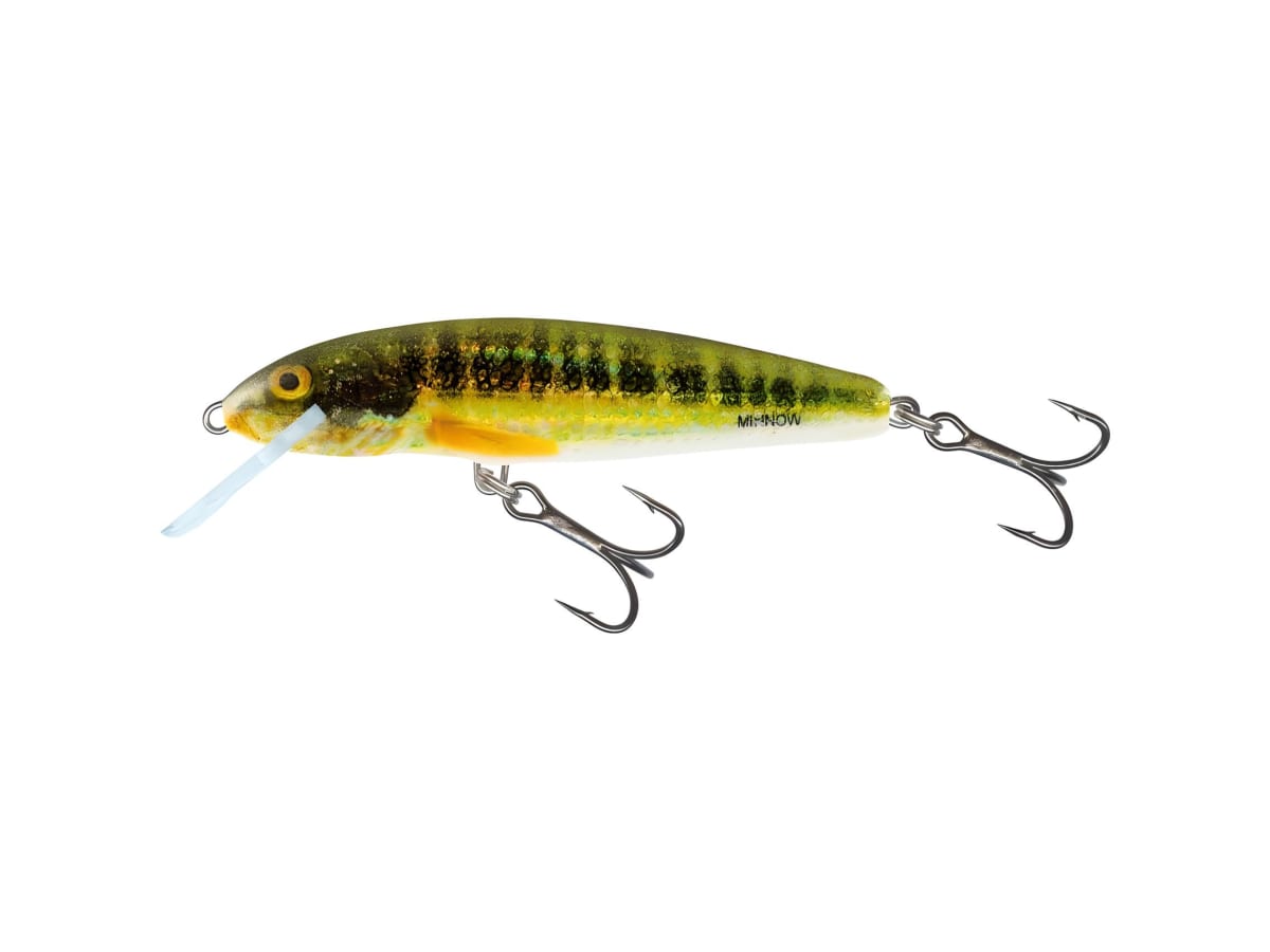 SEÑUELO SALMO MINNOW SINKING 6CM5