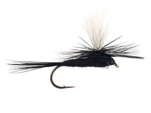 ADAMS BLACK PARACHUTE1