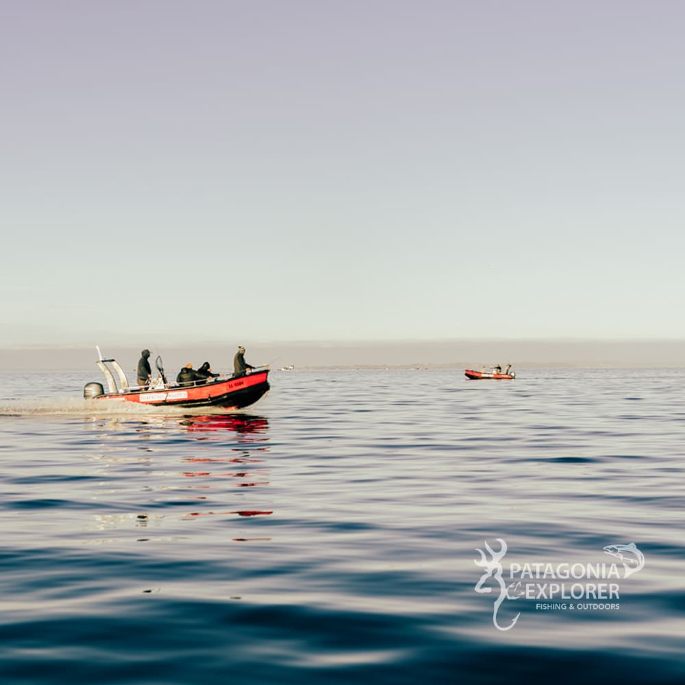Expedición Salmones Chinook4