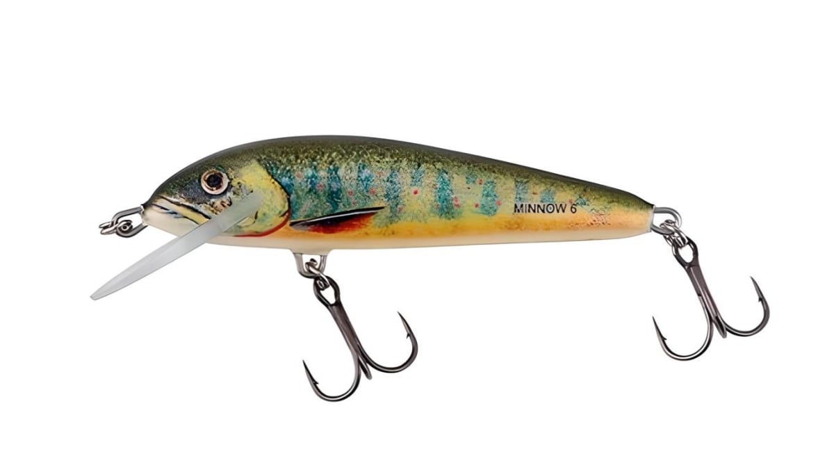 SEÑUELO SALMO MINNOW FLOATING 6CM6