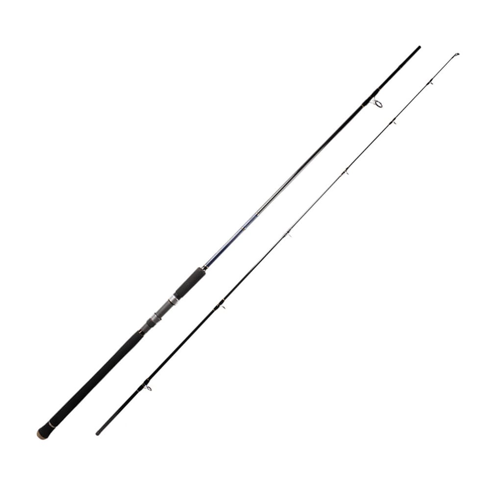CAÑA SOLPARA SHORE JIGGING1