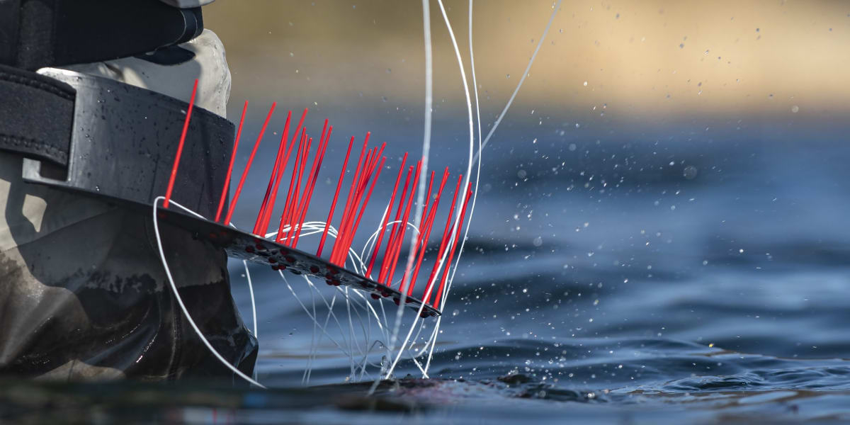 AHREX FLEXISTRIPPER2