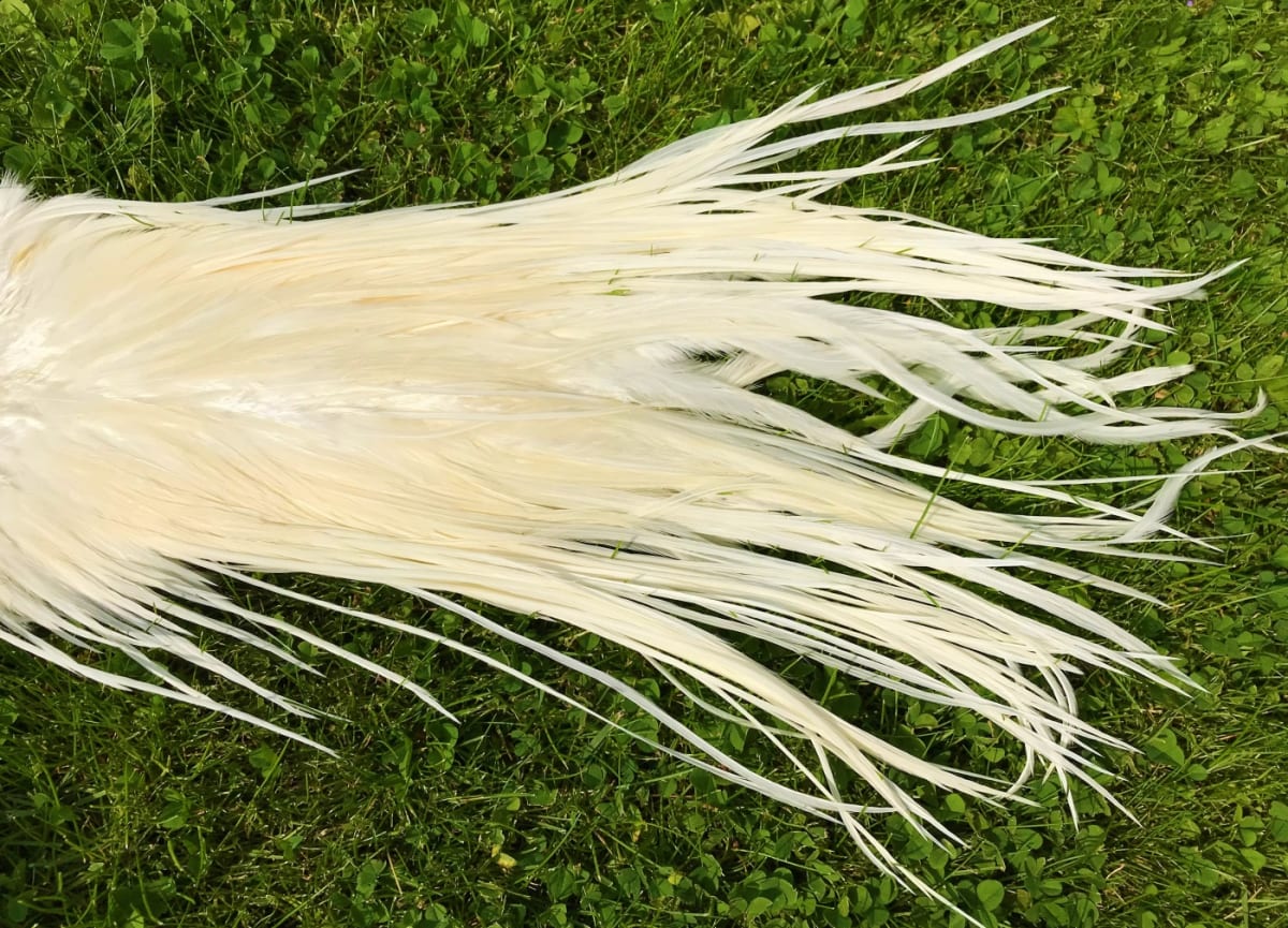 METZ # 2 MICROBARB SADDLE FEATHERS CREAM1