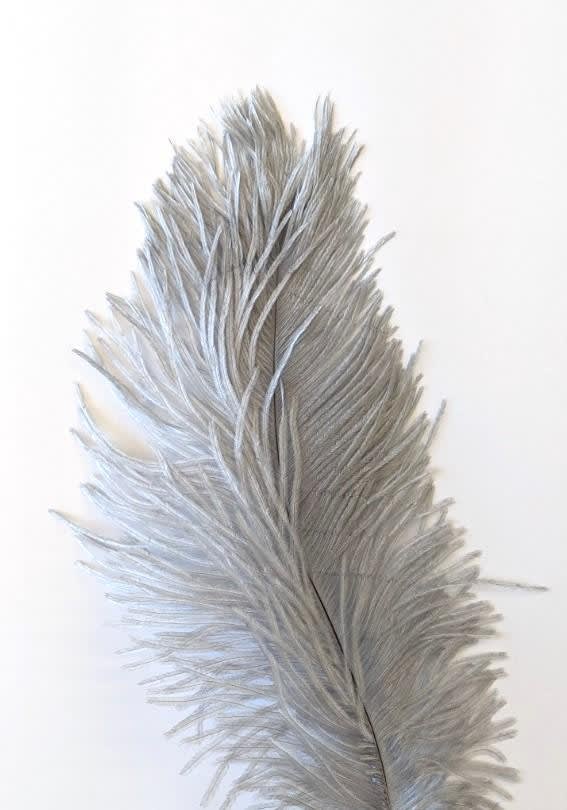 OSTRICH PLUME NATURES SPIRIT NATURAL GRAY OP-481