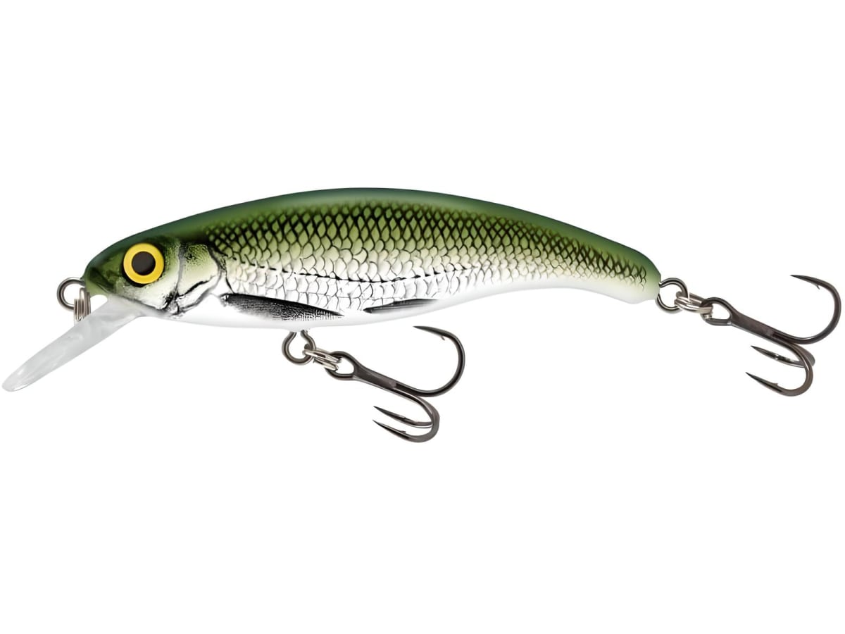 SEÑUELO MINNOW SALMO SLICK STICK 6 FLOATING 6CM OLB1