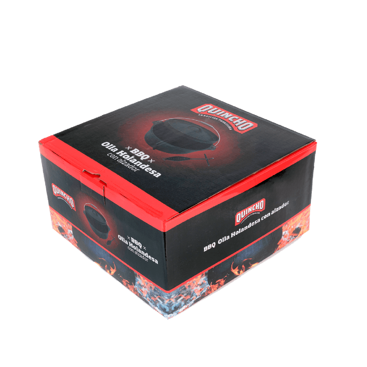 BBQ OLLA HOLANDESA QUINCHO2